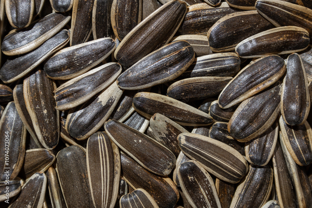 Non Salty Roasted Sunflower Seeds in Shell: A Culinary Canvas of Sunflower Kernels, Creating a Lively and Textured Background for Gourmet Cooking. Scattered Sun Flower Seeds - Top View, Flat Lay Non Salty Roasted Sunflower Seeds in Shell: A Culinary Canvas of Sunflower Kernels, Creating a Lively and Textured Background for Gourmet Cooking. Scattered Sun Flower Seeds - Top View, Flat Lay