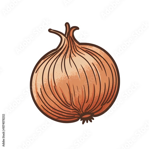 Wallpaper Mural onion isolated on white Torontodigital.ca