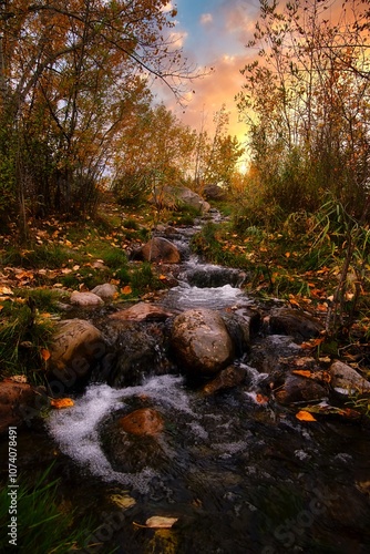 Stream In An Autumn Forest
