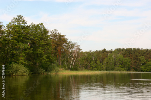 Obraz na płótnie Lake and coniferous forest w salonie