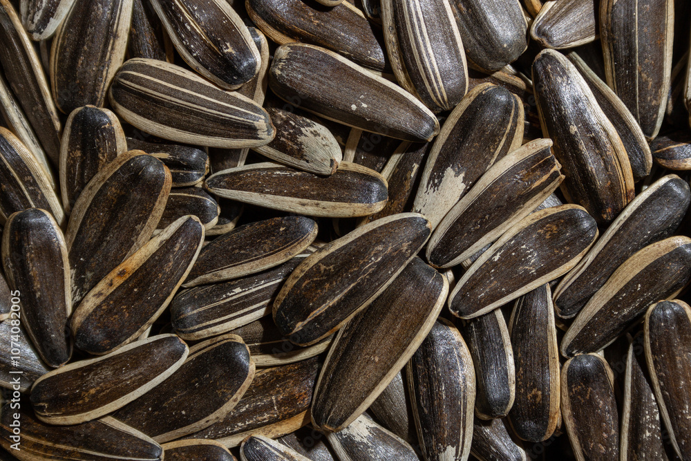 Non Salty Roasted Sunflower Seeds in Shell: A Culinary Canvas of Sunflower Kernels, Creating a Lively and Textured Background for Gourmet Cooking. Scattered Sun Flower Seeds - Top View, Flat Lay Non Salty Roasted Sunflower Seeds in Shell: A Culinary Canvas of Sunflower Kernels, Creating a Lively and Textured Background for Gourmet Cooking. Scattered Sun Flower Seeds - Top View, Flat Lay
