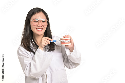 Portrait Asian woman dentist teaching how to brush teeth.Dentist holding tooth model and toothplate isolated on white background.Smiling female dentist doctor examining teeth model diagnosing patient. photo