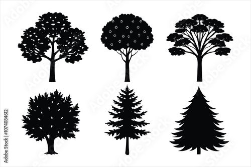 set of tree(Oak,Maple,Pine,Birch,Willow,Cedar) silhouette vector illustration on white background.