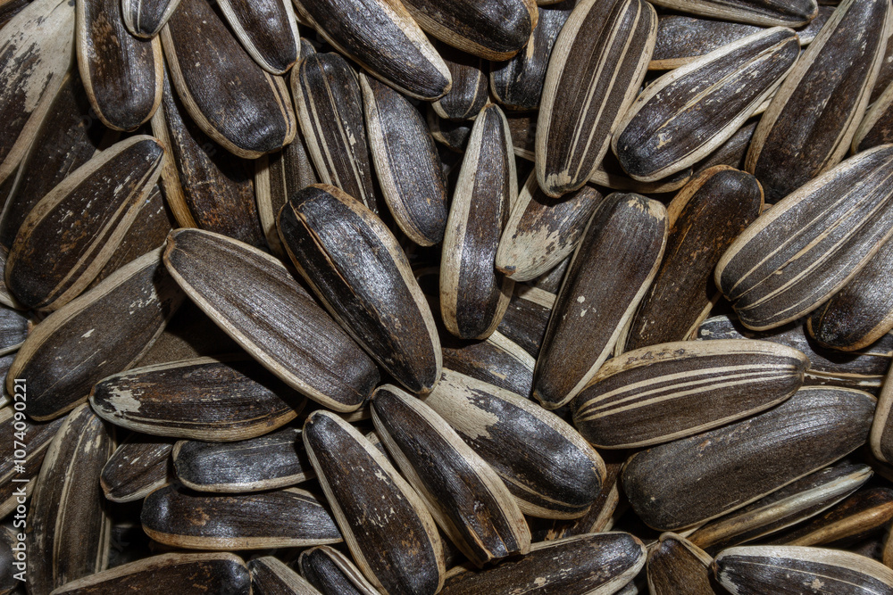 Non Salty Roasted Sunflower Seeds in Shell: A Culinary Canvas of Sunflower Kernels, Creating a Lively and Textured Background for Gourmet Cooking. Scattered Sun Flower Seeds - Top View, Flat Lay Non Salty Roasted Sunflower Seeds in Shell: A Culinary Canvas of Sunflower Kernels, Creating a Lively and Textured Background for Gourmet Cooking. Scattered Sun Flower Seeds - Top View, Flat Lay
