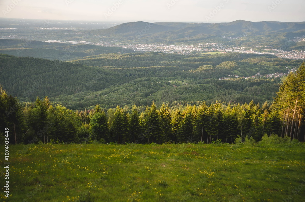 Fototapeta premium landscape in the mountains