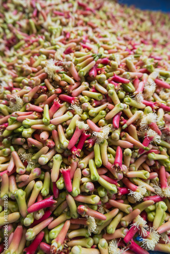 Close up photo of raw cloves that have just been picked from the tree