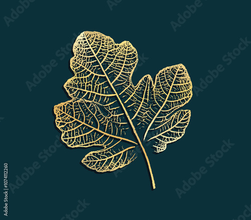 Fig leaf design illustration with stamp effect with rich deep colors. Botanical print of a variety of fig leaf specimen