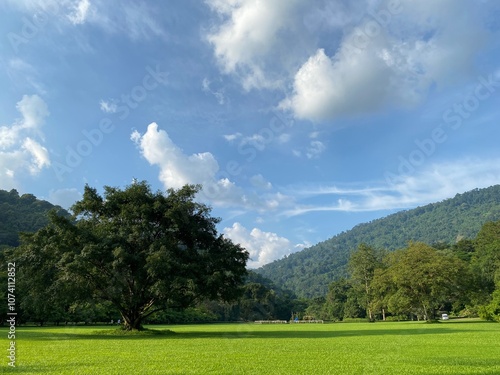 The natural view is very beautiful with mountains and trees standing out.