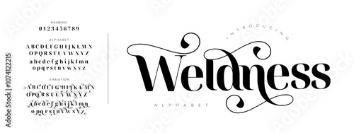 Weldness typography beauty fashion elegant minimalist serif italic fonts decorative wedding vintage retro logos. Minimal luxury font alphabet logo. Vector illustration