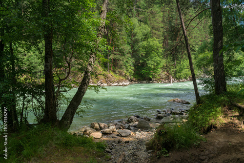 View of the Bolshoy Zelenchuk River in the northern foothills of the Caucasus Mountains near the village of Arkhyz on a summer day, Karachay-Cherkessia, Russia photo