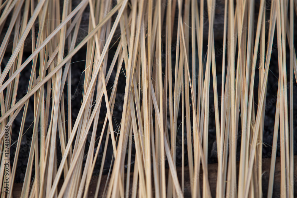 Close-up of a broom. Abstract background and texture for design. Close-up of a broom. Abstract background and texture for design.