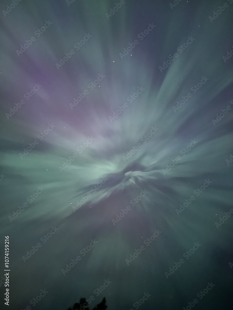 Aurora Aurora