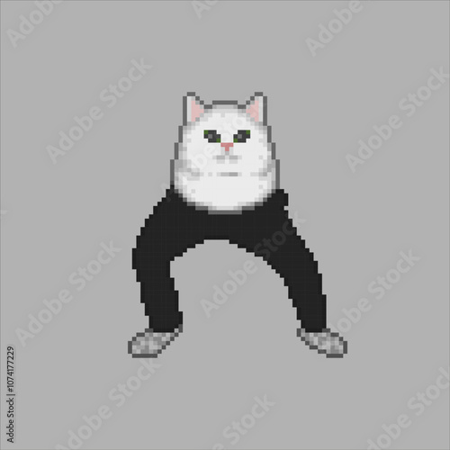 Funny cat with long legs, pixel art meme