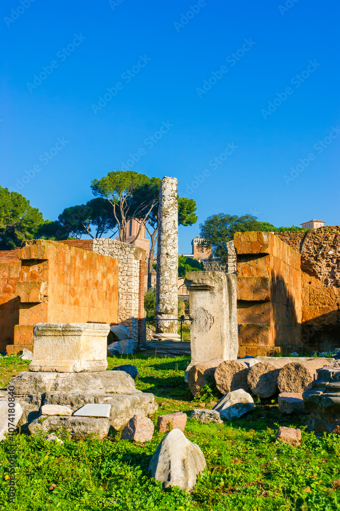 Fototapeta premium The ruined ancient buildings and temples in Roman Forum, Rome, Italy