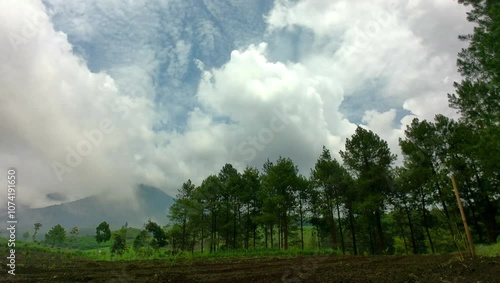 The atmosphere of nature in the hills, with trees scattered and mountain in the distance. The sky is a clear blue, and clouds move slowly, creating a serene and peaceful scene.