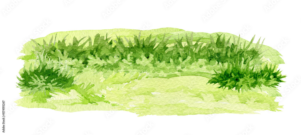 Green grass background watercolor illustration. Lush grass close up countryside landscape, meadow, field, lawn element. Fresh herbs and natural plants floral illustration on white background Green grass background watercolor illustration. Lush grass close up countryside landscape, meadow, field, lawn element. Fresh herbs and natural plants floral illustration on white background