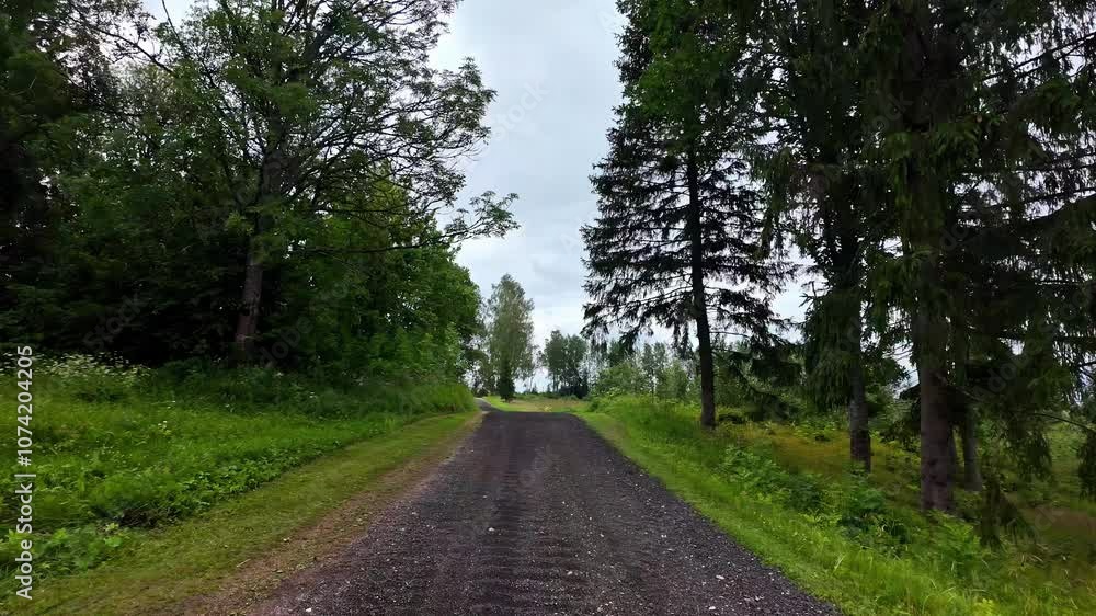Road in the middle of the village with trees on side Road in the middle of the village with trees on side