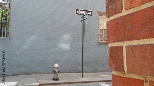 New York City oneway crossroad, Minetta street intersection one way arrow road sign. Manhattan Greenwich Village residential building architecture, NYC, United States. Blue brick wall, fire hydrant. photo