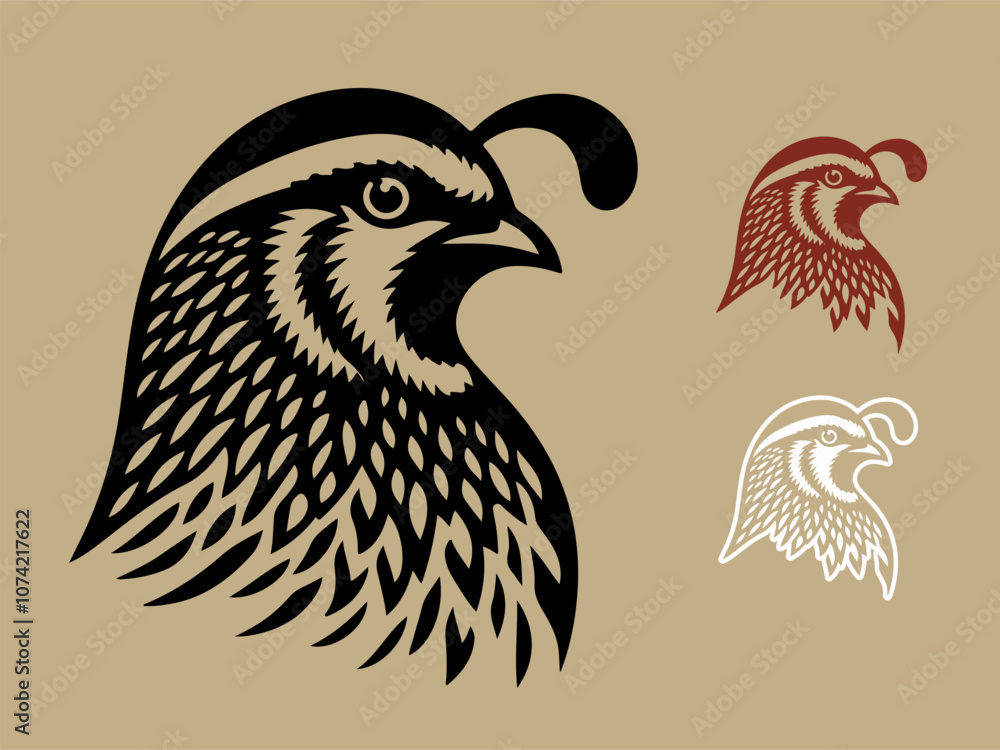 Fototapeta premium Gambel Quail bird hand drawn vector illustration
