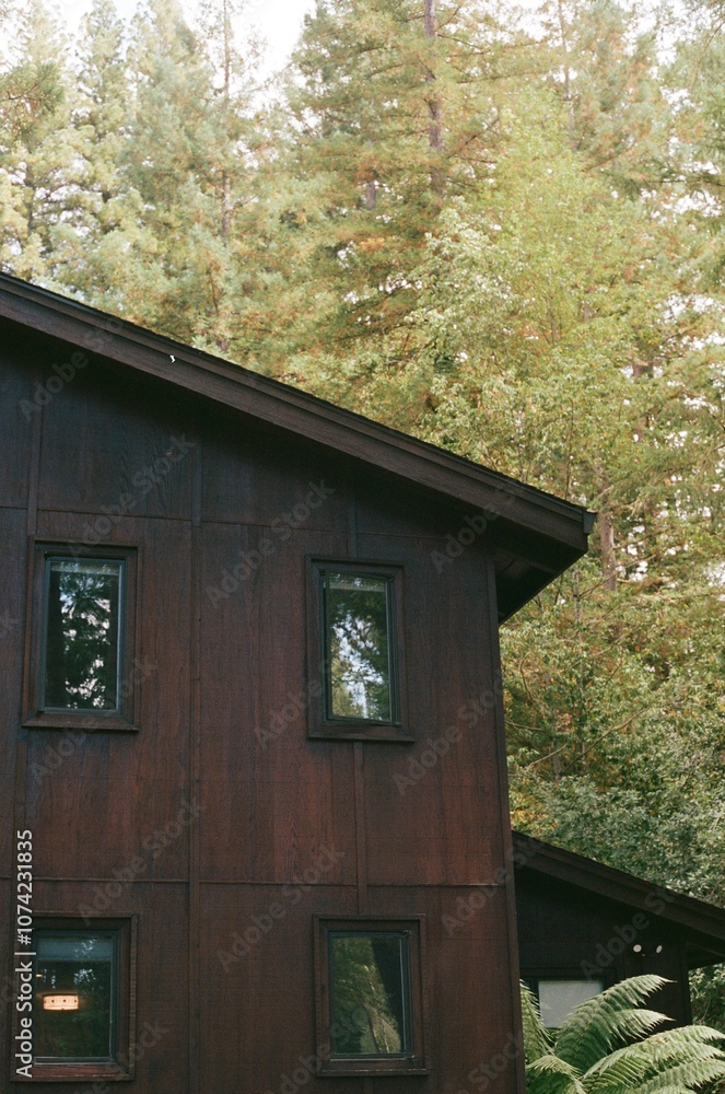 Cabin in the woods on film Cabin in the woods on film