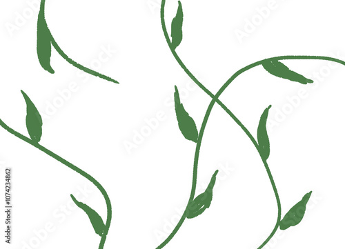 green leaves on white background