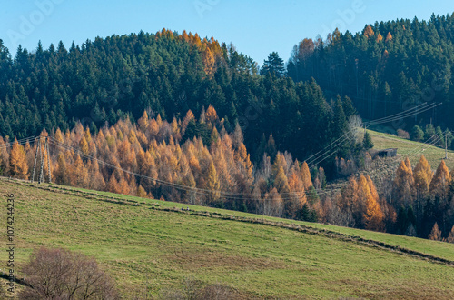 Beskid Sądecki jesień photo