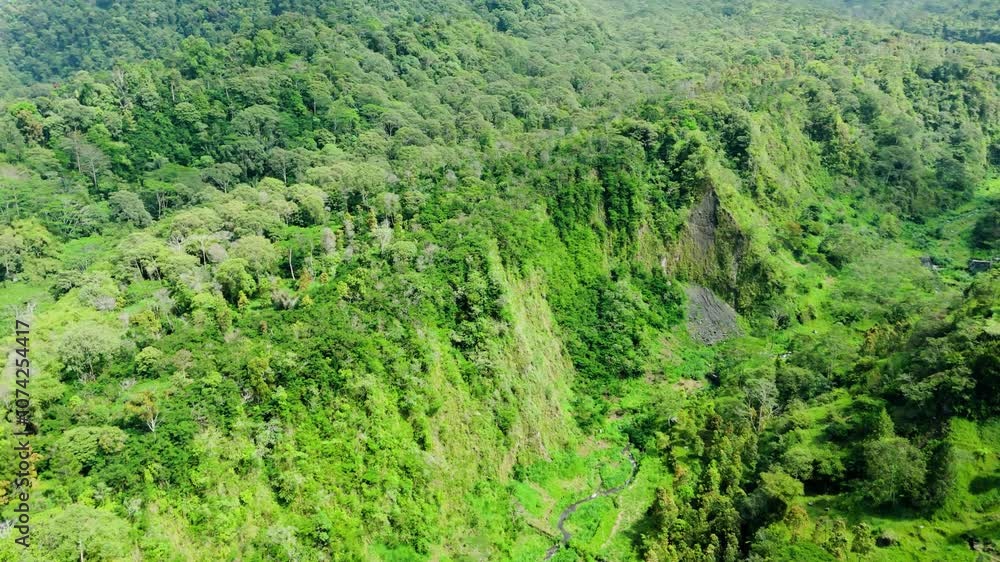 Drone view from top of natural green forest landscape Drone view from top of natural green forest landscape