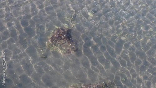 光が射し込む浜名湖の運河