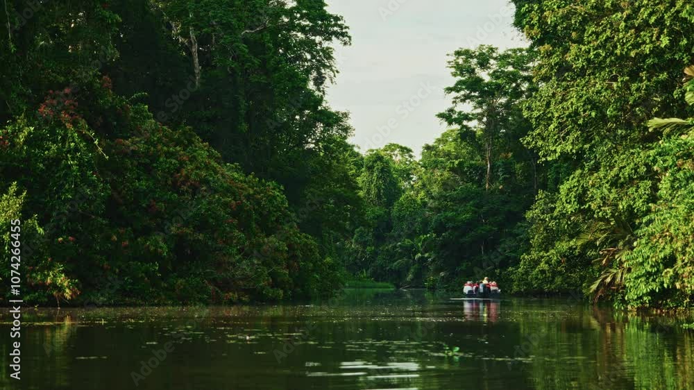 Navigating through the canals of Tortuguero National Park in Costa Rica. Panoramic view of the green lush vegetation and the rainforest. Natural reserve for wildlife and biodiversity. Navigating through the canals of Tortuguero National Park in Costa Rica. Panoramic view of the green lush vegetation and the rainforest. Natural reserve for wildlife and biodiversity.