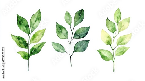 Hand-painted watercolor illustration of three green leaves on white background.