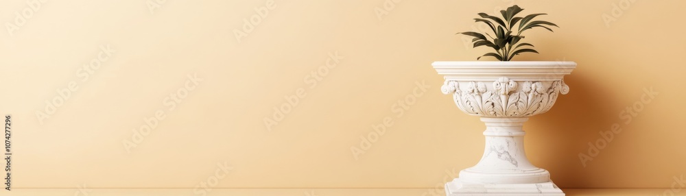 Elegant plant in a decorative pot against a soft colored wall. Elegant plant in a decorative pot against a soft colored wall.