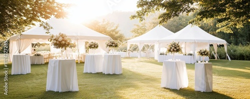 Elegant outdoor wedding setup with tents and decorated tables.
