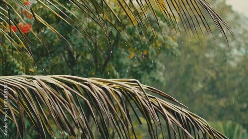 Close up rainfall over palm trees and red flowers on a tropical island. 