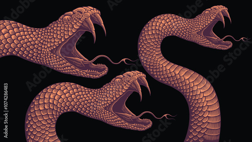 Attacking snake. Design set. Editable hand drawn illustration. Vector vintage engraving. Isolated on black background. 8 EPS