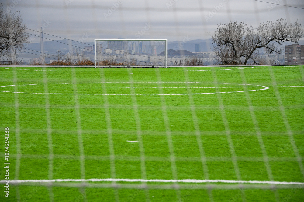 Fototapeta premium soccer field with goal