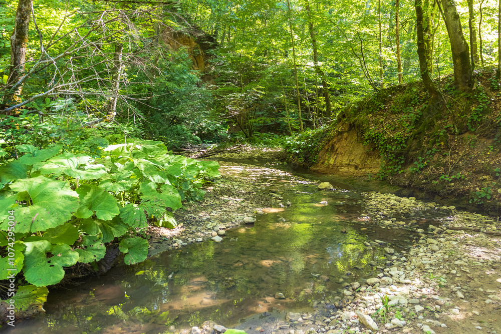 nature park , a walk along the riverbed with an overview of the stone bottom and banks nature park , a walk along the riverbed with an overview of the stone bottom and banks