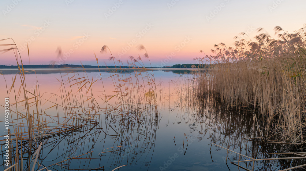 Serene Lake Sunset with Dancing Reed Grass Serene Lake Sunset with Dancing Reed Grass