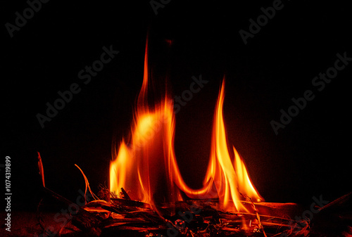 A bonfire in my backyard