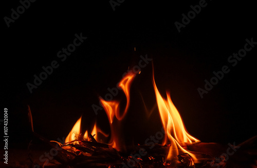 A bonfire in my backyard