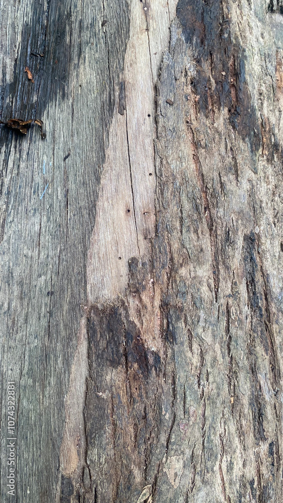 slightly damp wood texture pattern slightly damp wood texture pattern
