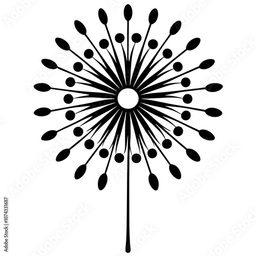 black and white dandelion flower