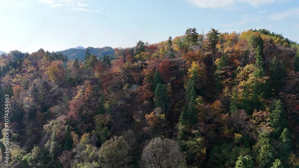 空撮 鮮やかな秋の紅葉 広大な山と森林 秋田県の風景 空撮 鮮やかな秋の紅葉 広大な山と森林 秋田県の風景