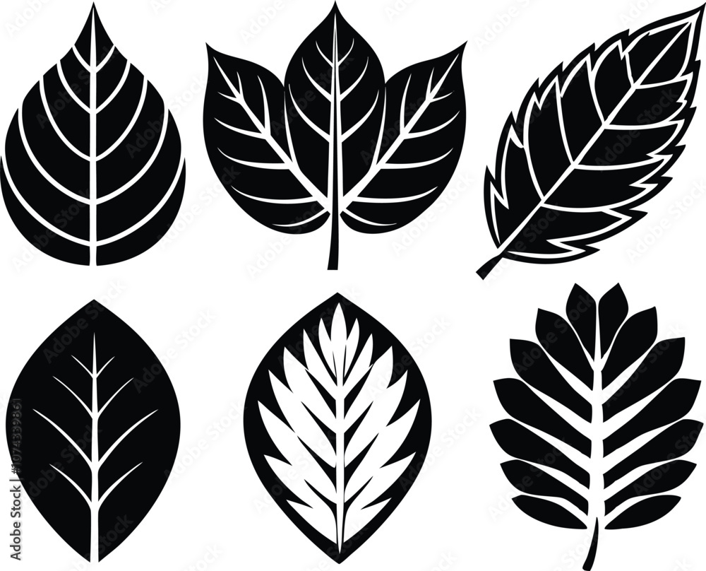 set of leaves silhouettes, collection leaf icon vector black set of leaves silhouettes, collection leaf icon vector black