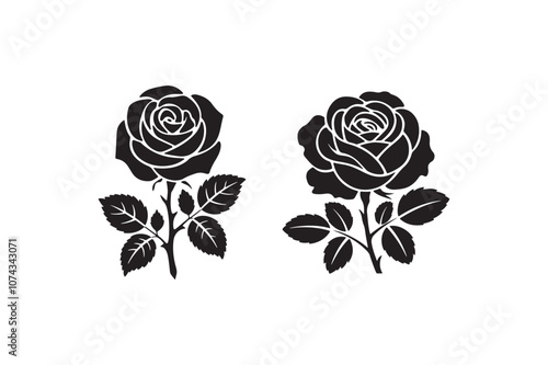 two black and white roses are shown on a white background photo