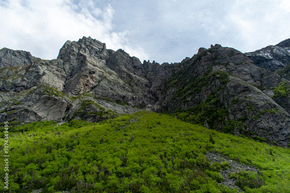 The towering cliff face of Western Brook Pond rises dramatically above the water, showcasing the rugged beauty and geological wonders of Gros Morne National Park. The towering cliff face of Western Brook Pond rises dramatically above the water, showcasing the rugged beauty and geological wonders of Gros Morne National Park.
