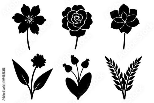 6 vector silhouette icon set of Ranunculus, Buttercup, Snowdrop, Heather, Larkspur, Delphinium