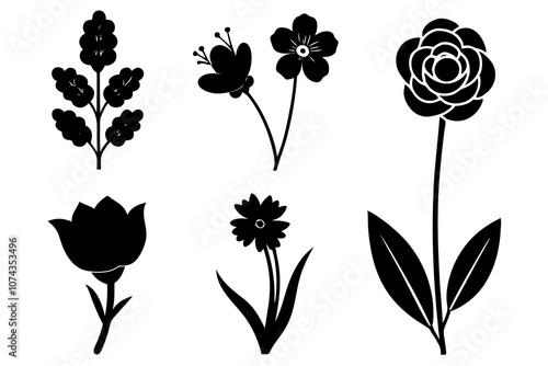 6 vector silhouette icon set of Ranunculus, Buttercup, Snowdrop, Heather, Larkspur, Delphinium