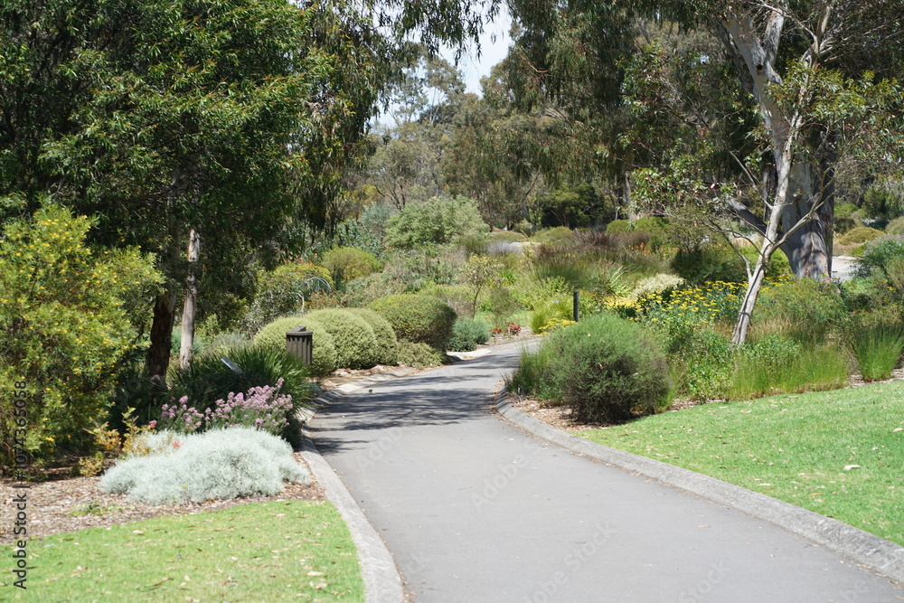 Scenic Pathway Through a Lush Garden
