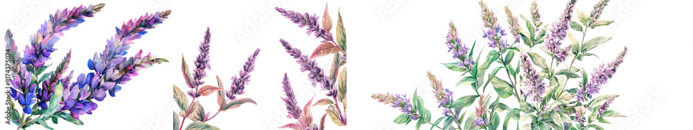 Vibrant floral corner frame composed of lush blooming Giant Hyssop flowers in a summer garden setting The delicate purple and violet petals create a romantic and serene atmosphere Vibrant floral corner frame composed of lush blooming Giant Hyssop flowers in a summer garden setting The delicate purple and violet petals create a romantic and serene atmosphere