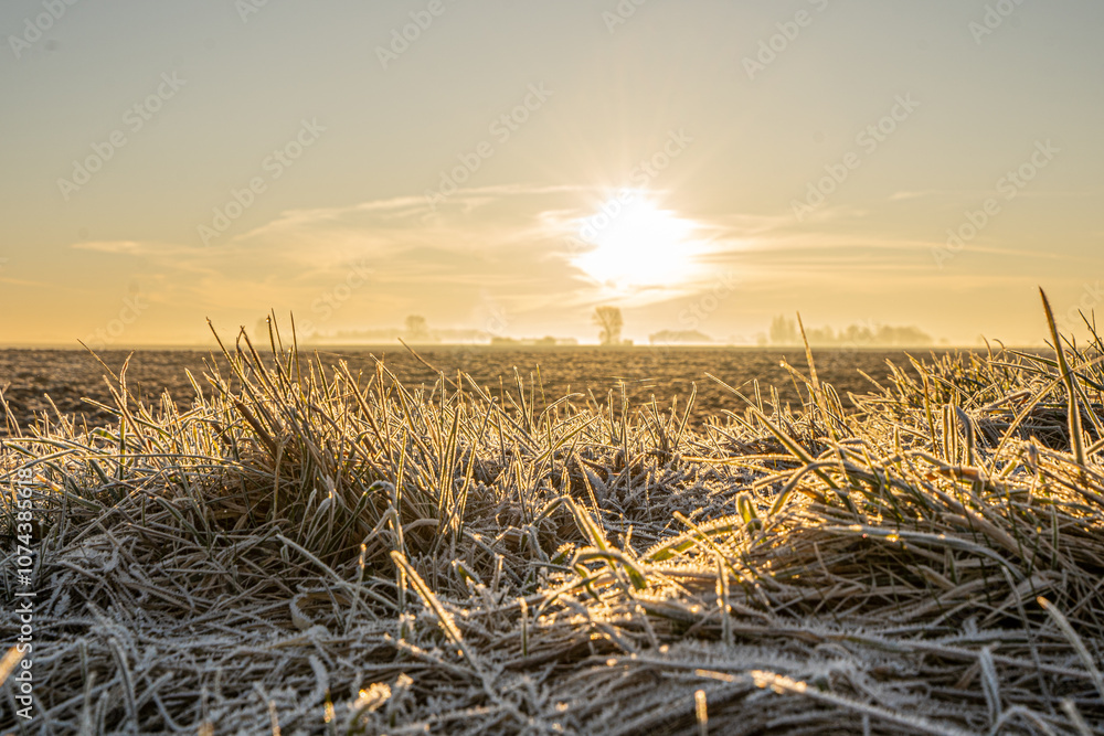 Fototapeta premium Frosty morningfield